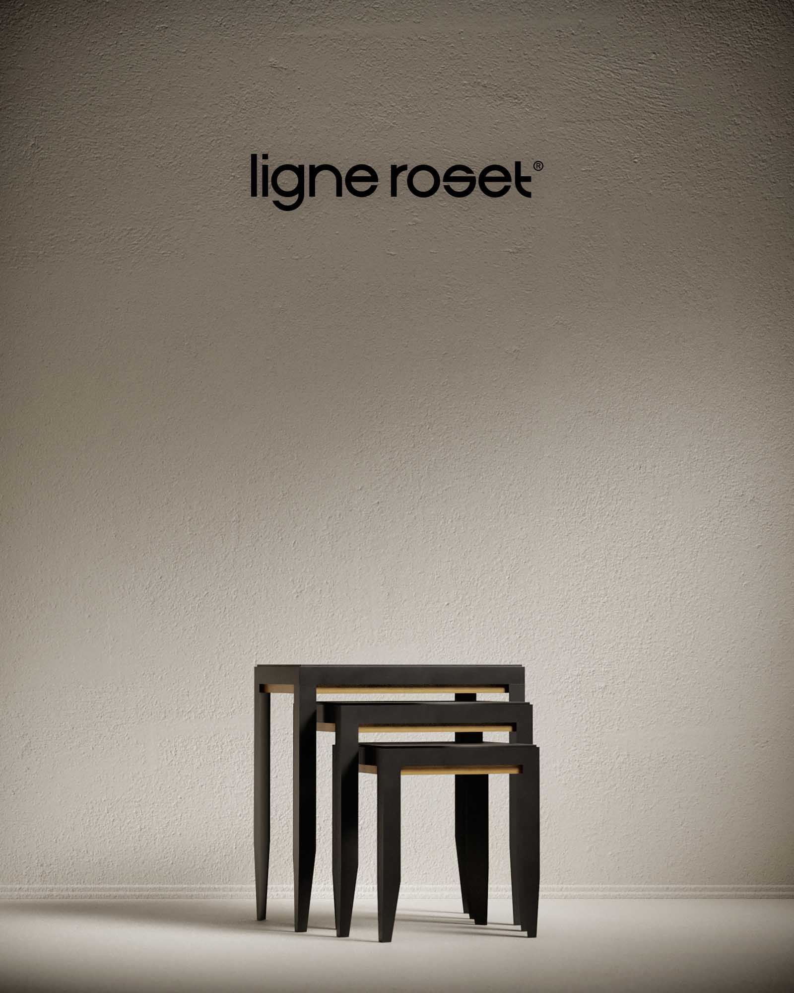 Ligne Roset 4
